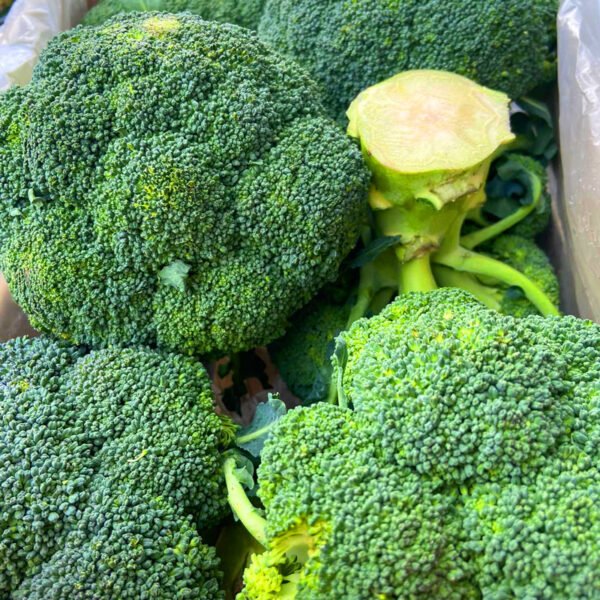 Organic Products - Image 14
