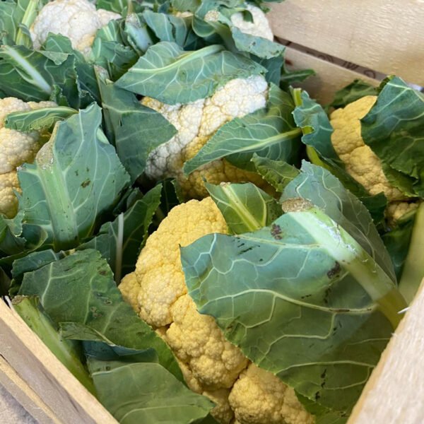 Organic Products - Image 12