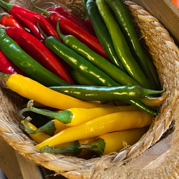 Organic Products - Image 5