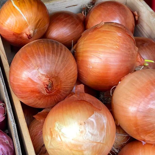 Organic Products - Image 10