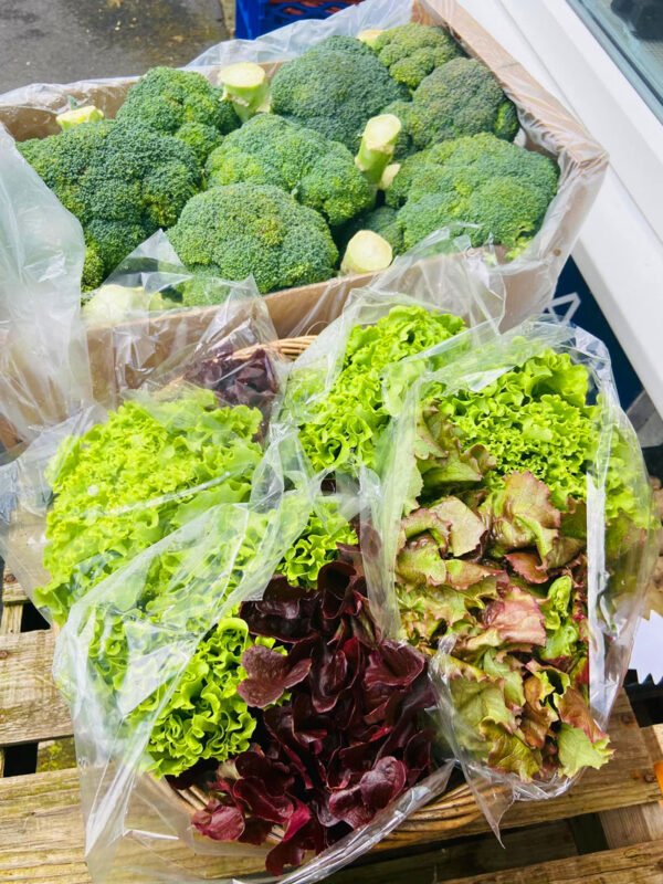 Organic Products - Image 21