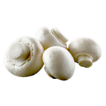 organic white mushrooms