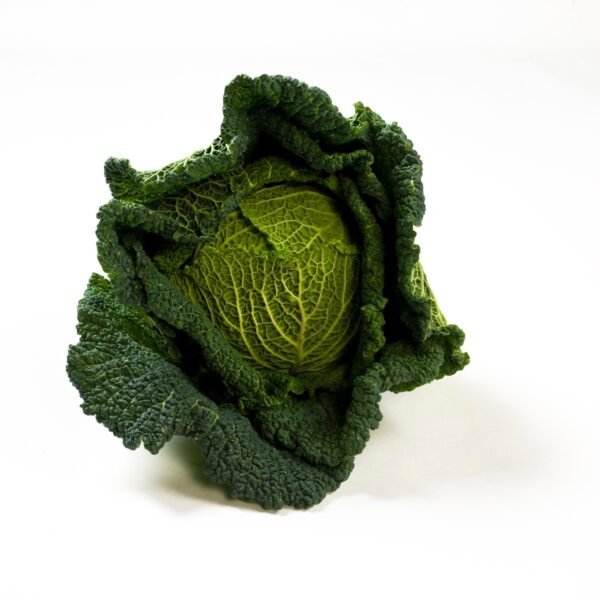organic savoy cabbage