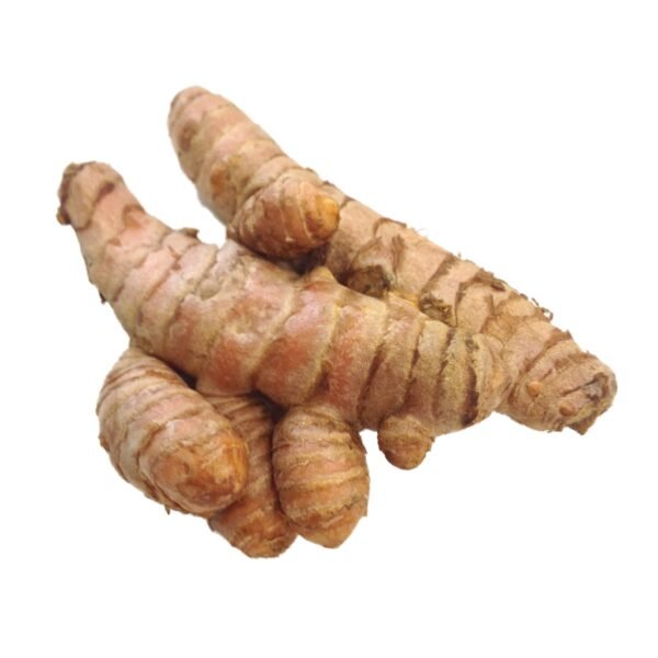 turmeric root